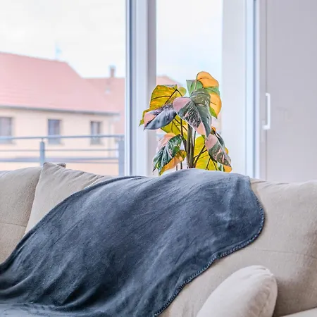 Large Terrace, Close To Europapark, Pets Ok 아파트 *