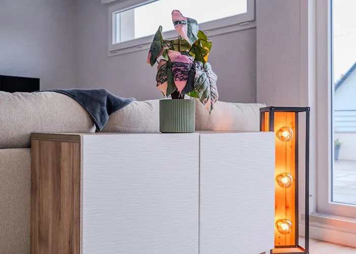 Appartement Large Terrace, Close To Europapark, Pets Ok