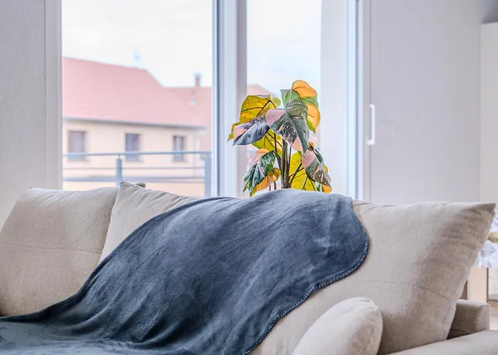 Large Terrace, Close To Europapark, Pets Ok Appartement *