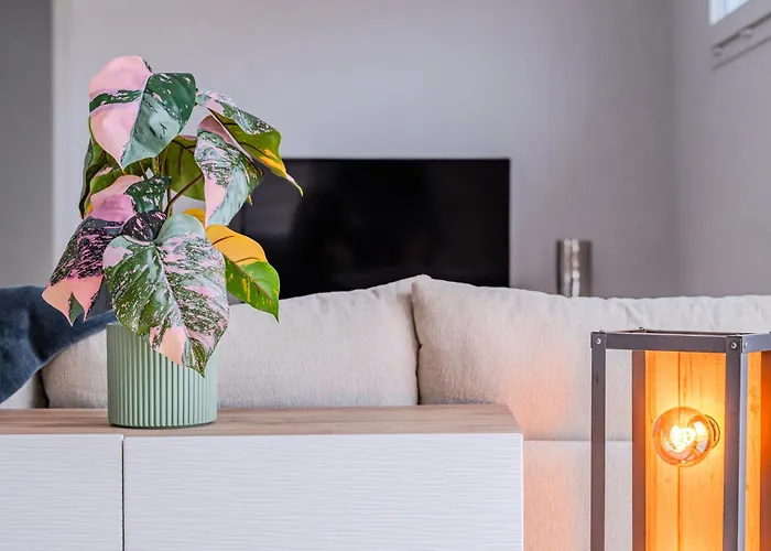 Large Terrace, Close To Europapark, Pets Ok 아파트